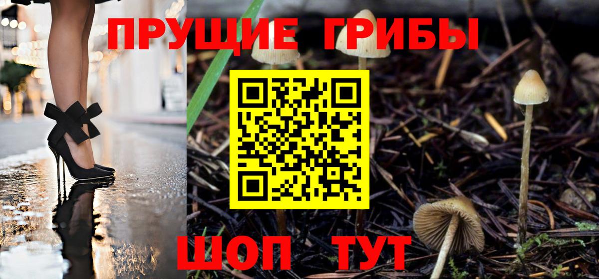 Псилоцибиновые грибы Cubensis  Вход с VPN  Новочебоксарск 